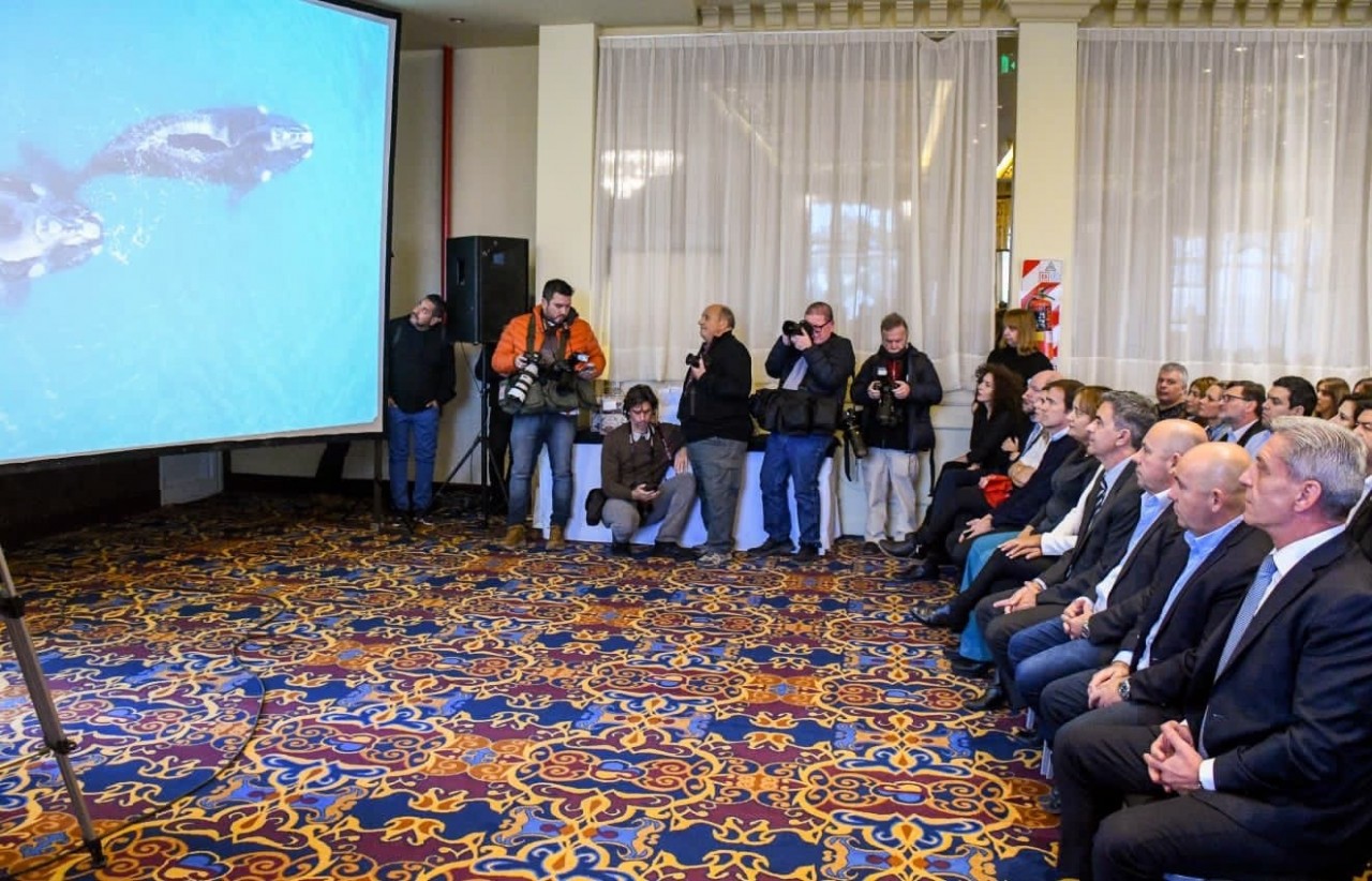 madryn-3 madryn-3